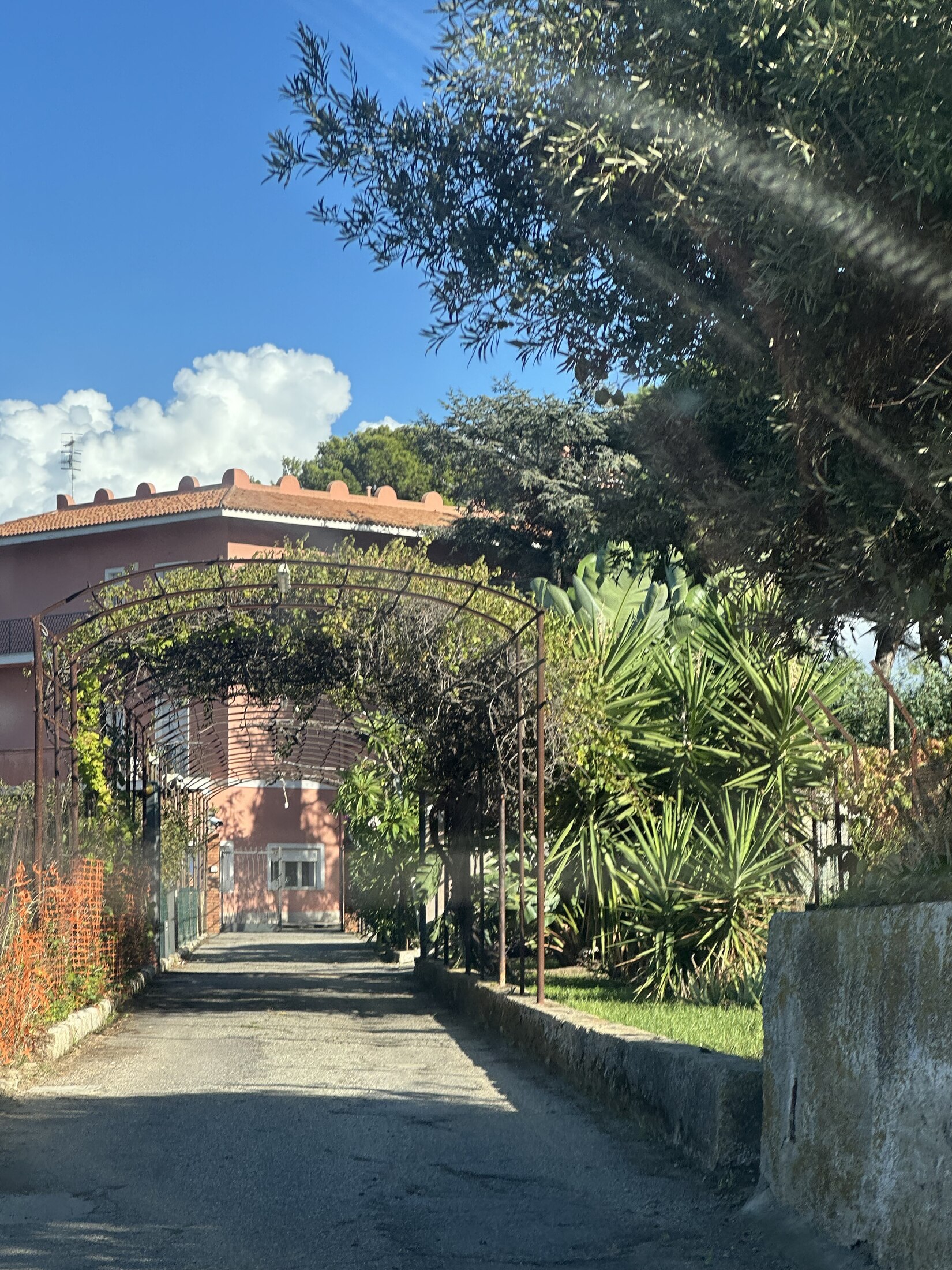 A leafy garden entrance in bright afternoon sun