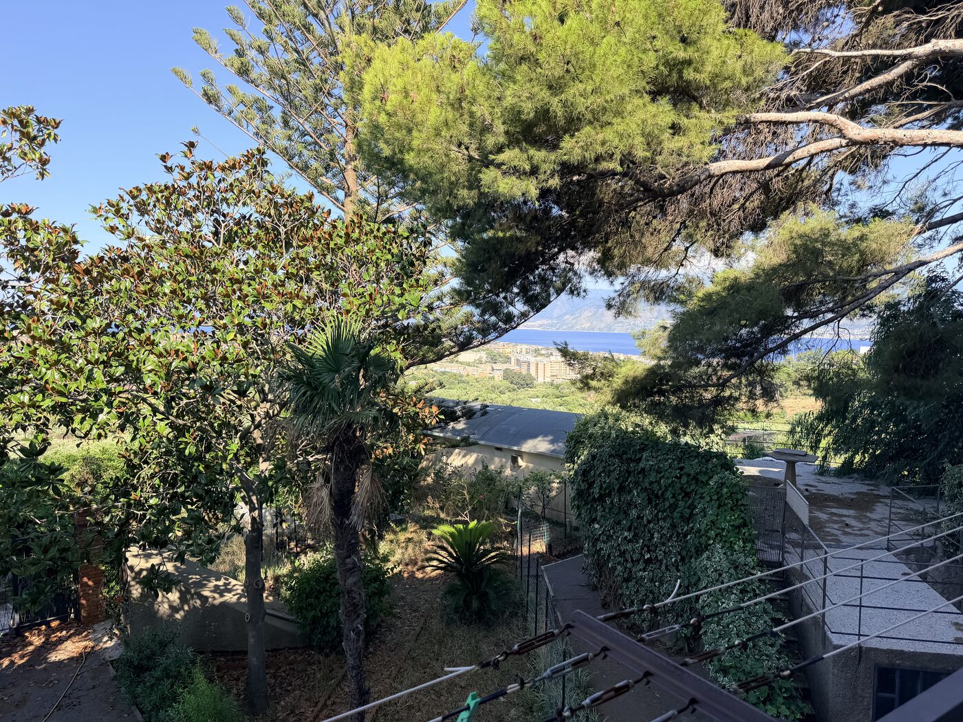 A green terrace and path in a Sicilian neighborhood