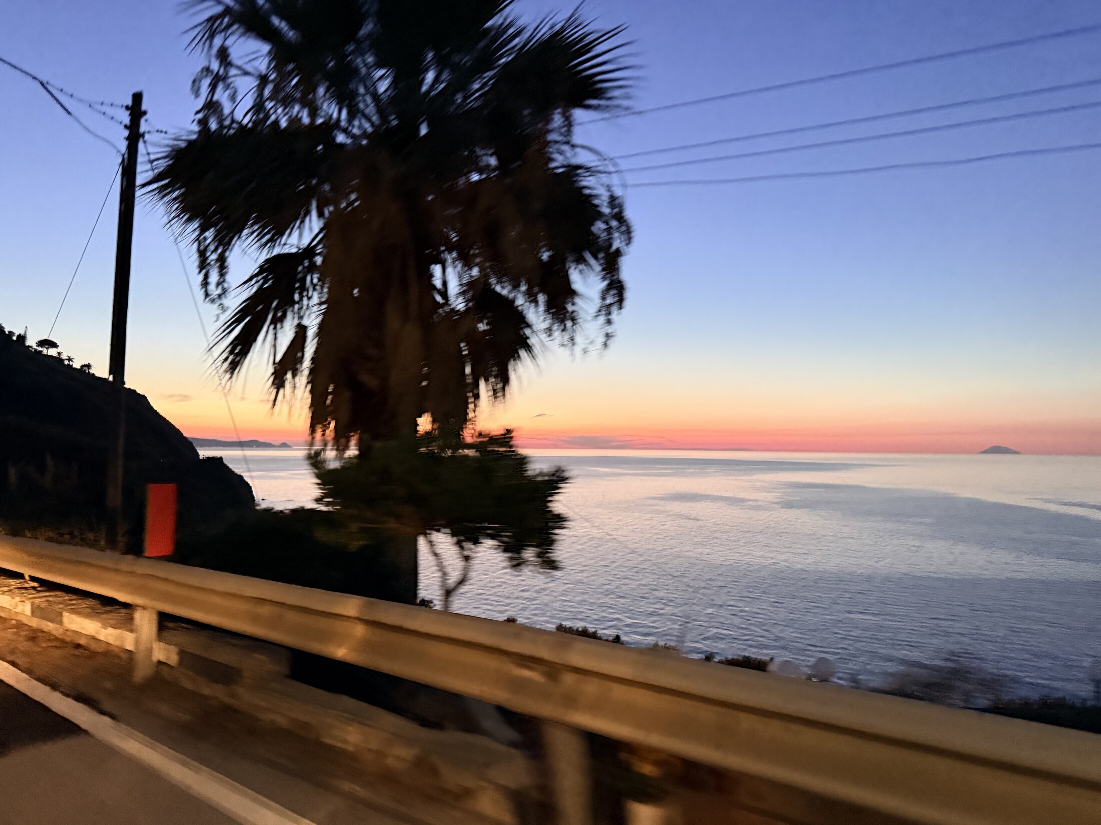 Palm trees and the Sicilian coast at sunset