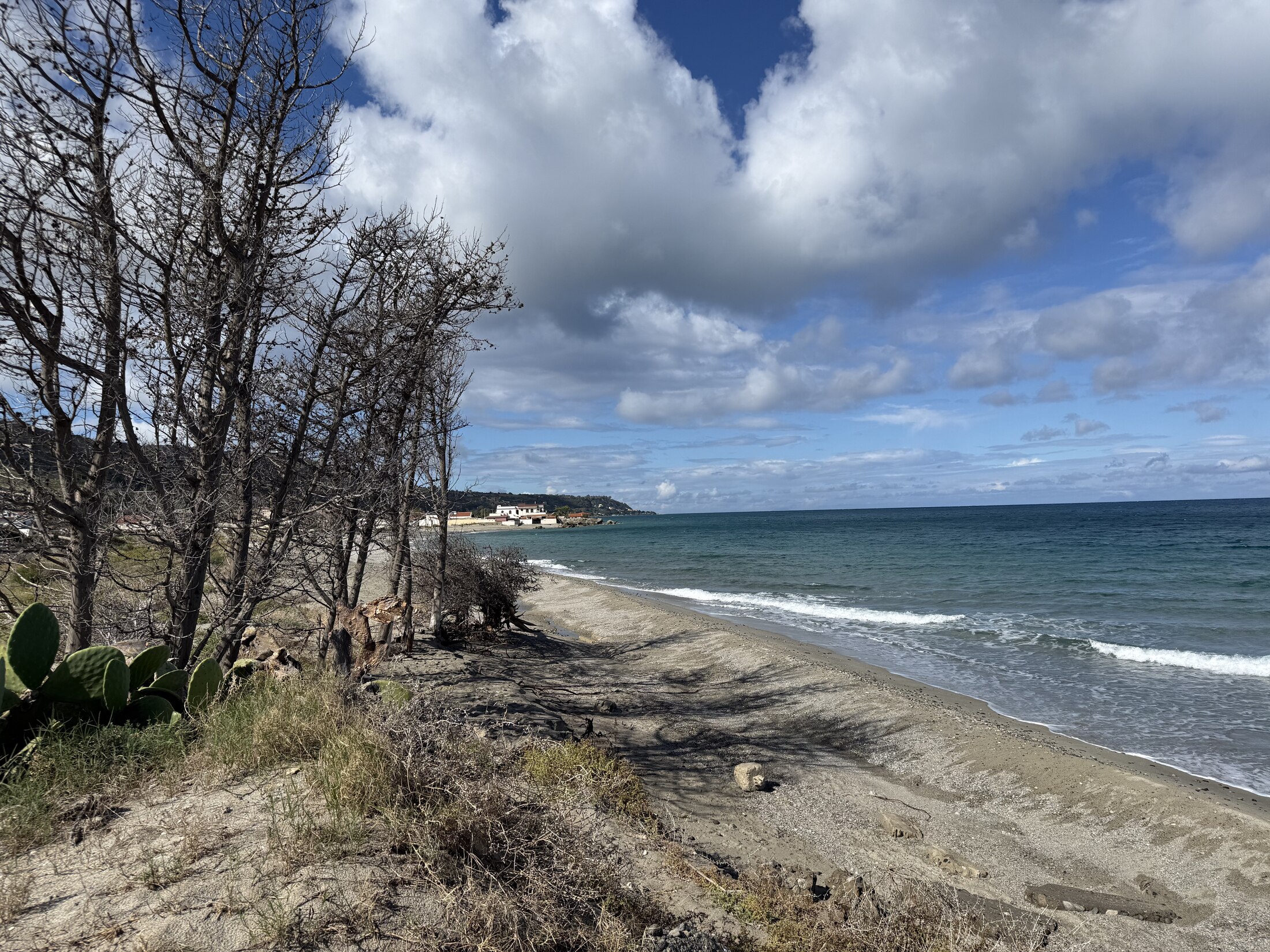 A quiet natural beach beneath a dramatic sky